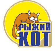Рыжий кот
